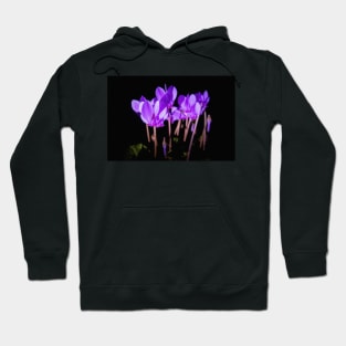 Cyclamen hederifolium flowering Hoodie